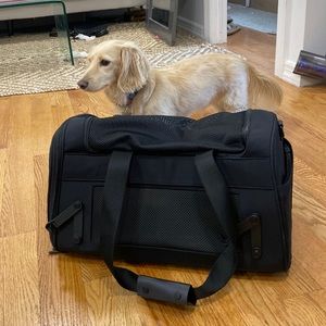 Away Pet Carrier